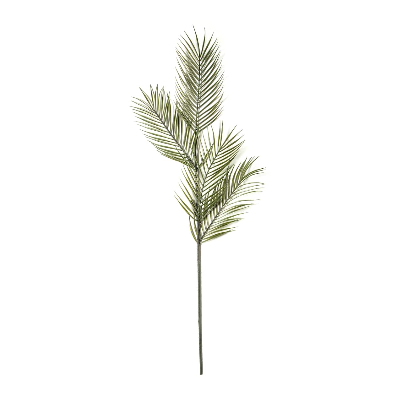 Tropical Areca Palm Stem by Ashland®